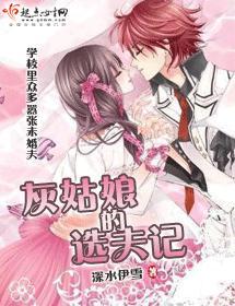 灰姑娘进化史封面
