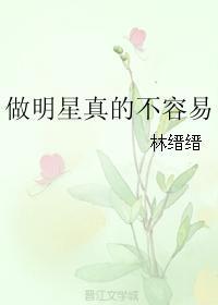 做明星真的不容易封面