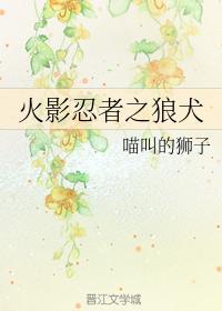 火影忍者之狼犬封面