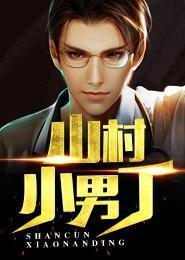 山村小男丁李小三顾娟封面