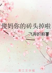 傻妈你的砖头掉啦封面