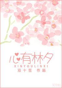 心有林夕封面