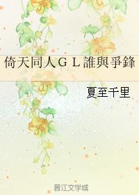 谁与争锋封面