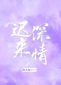迟来深情封面