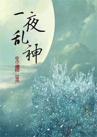 一夜乱神封面