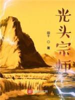 光头宗师封面