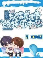 两个莫得感情的搞cp机器封面