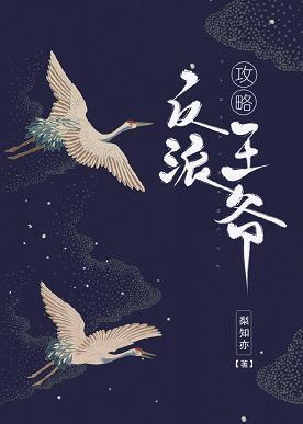 攻略反派王爷封面