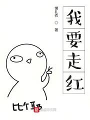我要走红封面