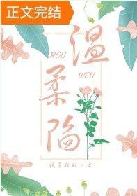 温柔陷封面