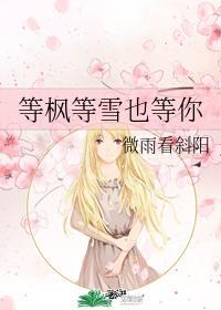 等枫等雪也等你封面