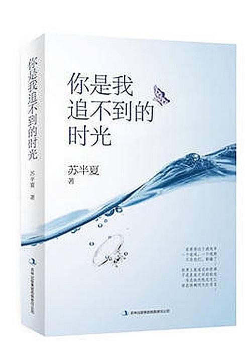 你是我追不到的时光封面