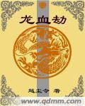 龙血劫封面