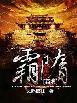 霸隋封面
