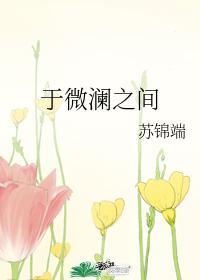 于微澜之间封面