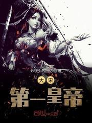 大宋第一皇帝封面