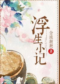 浮生小记封面
