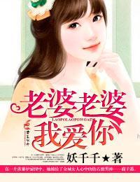 老婆老婆,我爱你封面