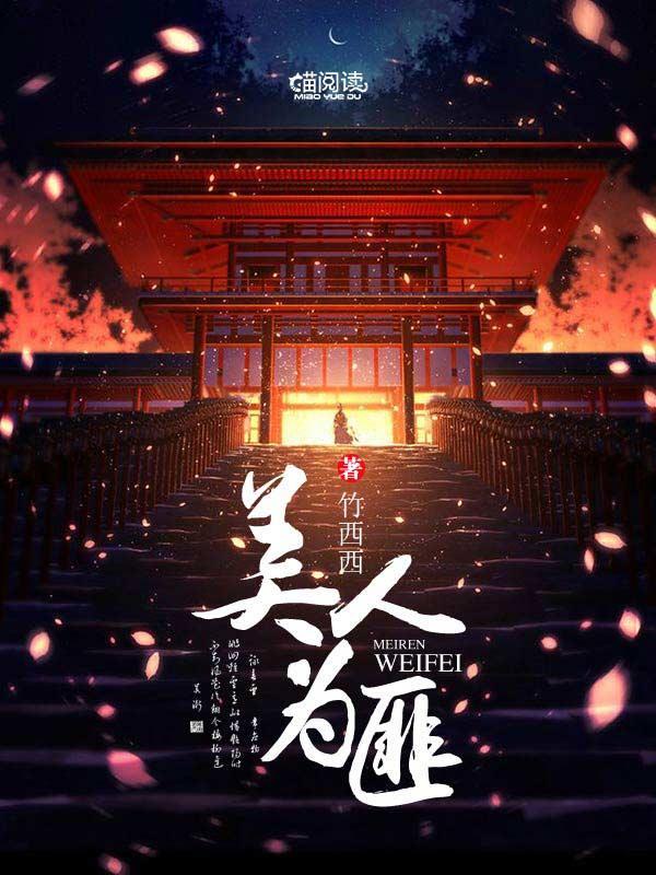 美人为匪封面