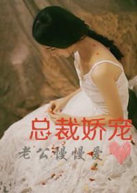 总裁娇宠:老公慢慢爱封面