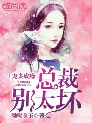 宠妻成瘾，总裁别太坏封面