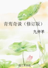 青鸾奇谈封面