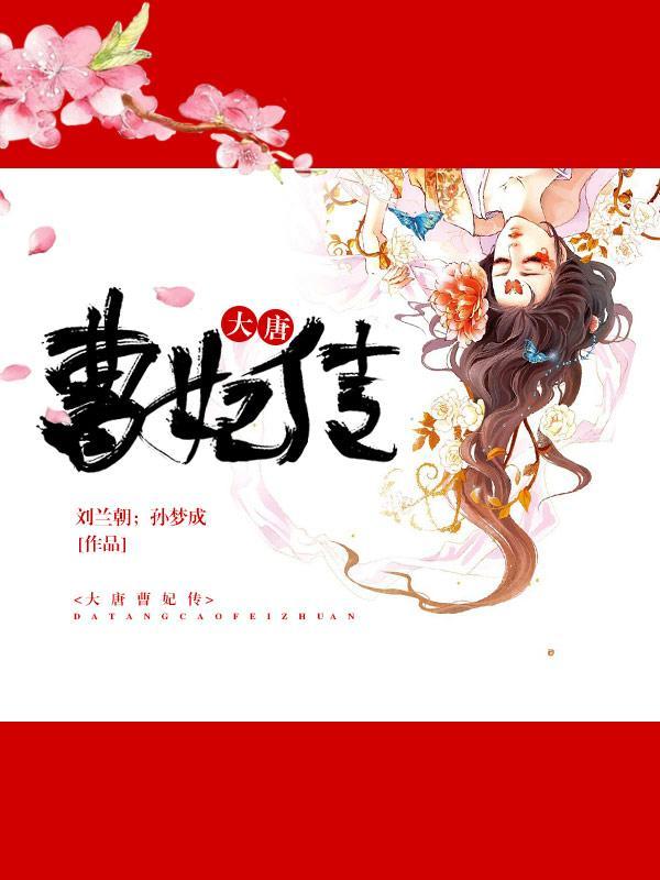 大唐曹妃传封面
