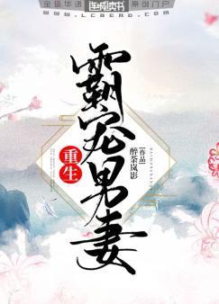 重生:霸宠男妻封面