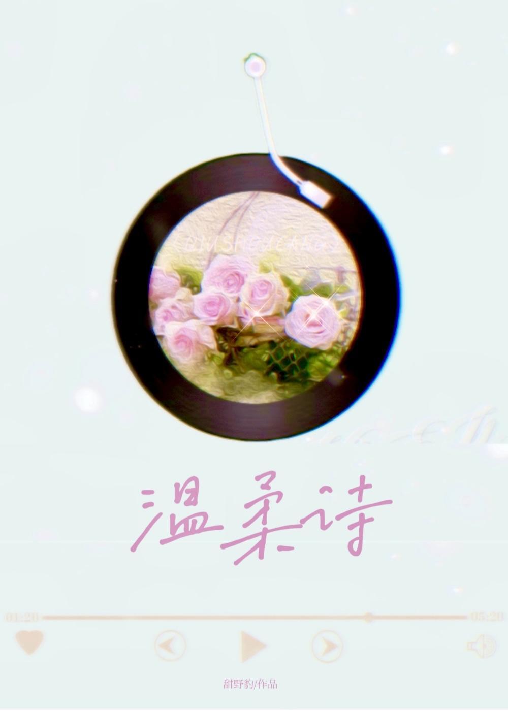 温柔诗封面