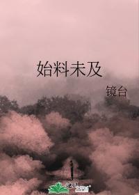 始料未及封面