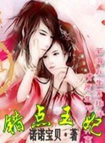 错点王妃封面
