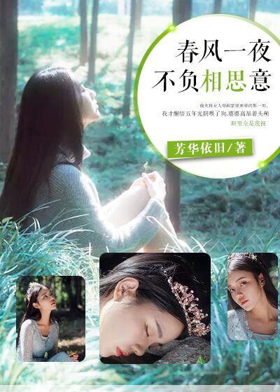 春风一夜,不负相思意封面