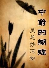 中箭的蝴蝶封面