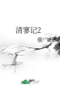 清寥记2封面
