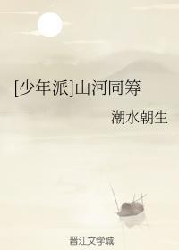 山河同筹封面