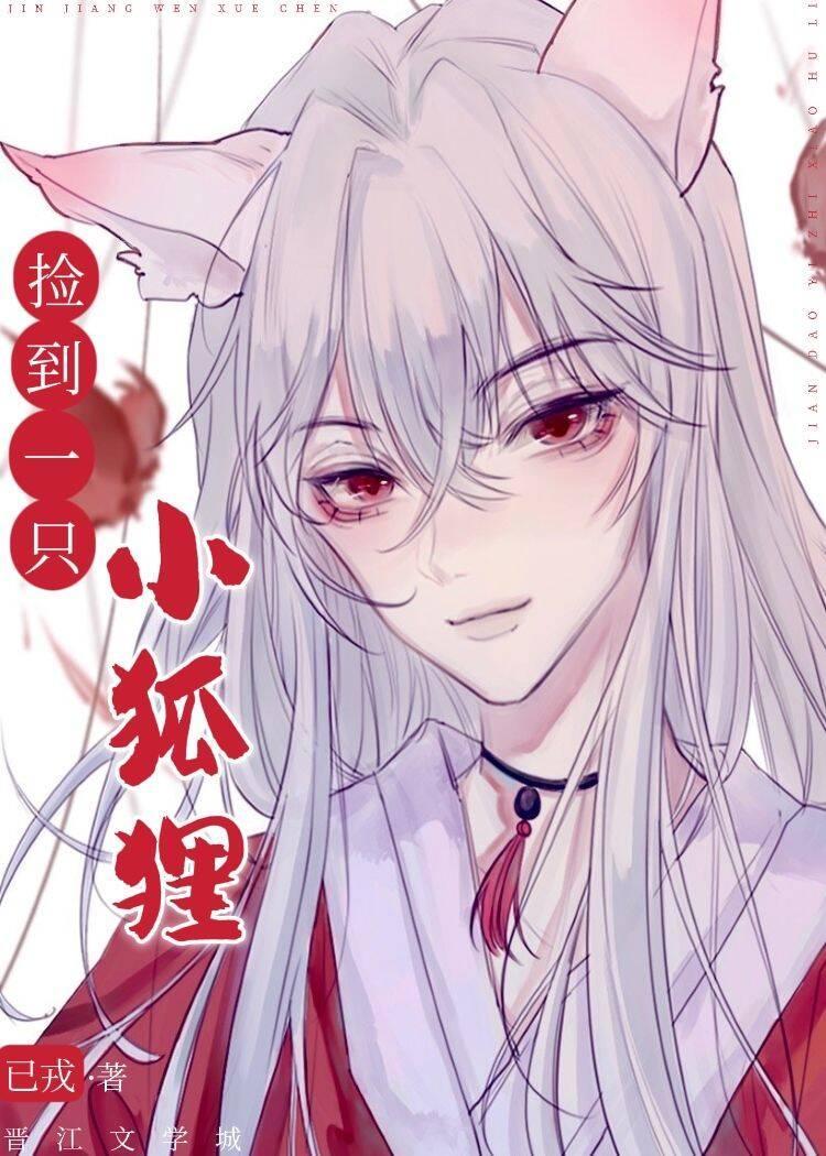 捡到一只小狐貍封面