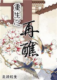 重生之再醮封面