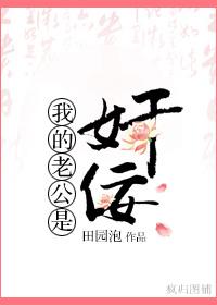 我的老公是奸佞封面
