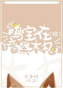 鸣宝在暗黑本丸[综]封面