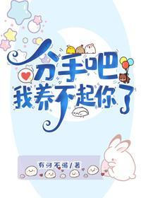 分手吧，我养不起你了封面