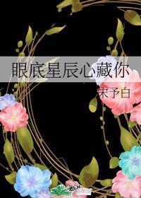 眼底星辰心藏你封面