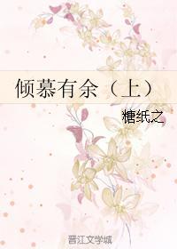倾慕有余封面