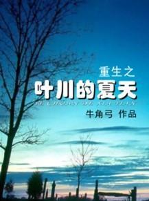 叶川的夏天封面