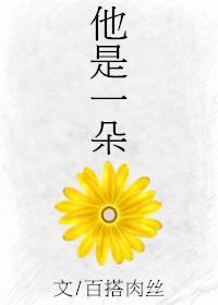 他是一朵花封面