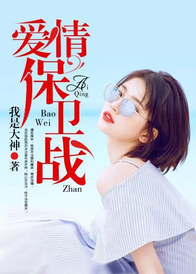 爱情保卫战封面
