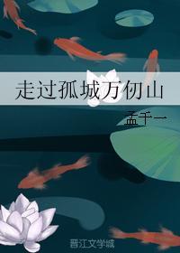 走过孤城万仞山封面