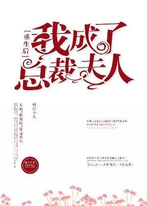 重生后我成了总裁夫人封面