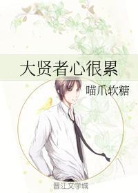 大贤者心很累封面