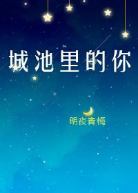 城池里的你封面