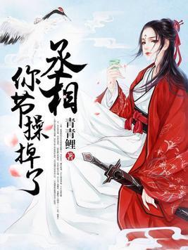 丞相,你节操掉了封面